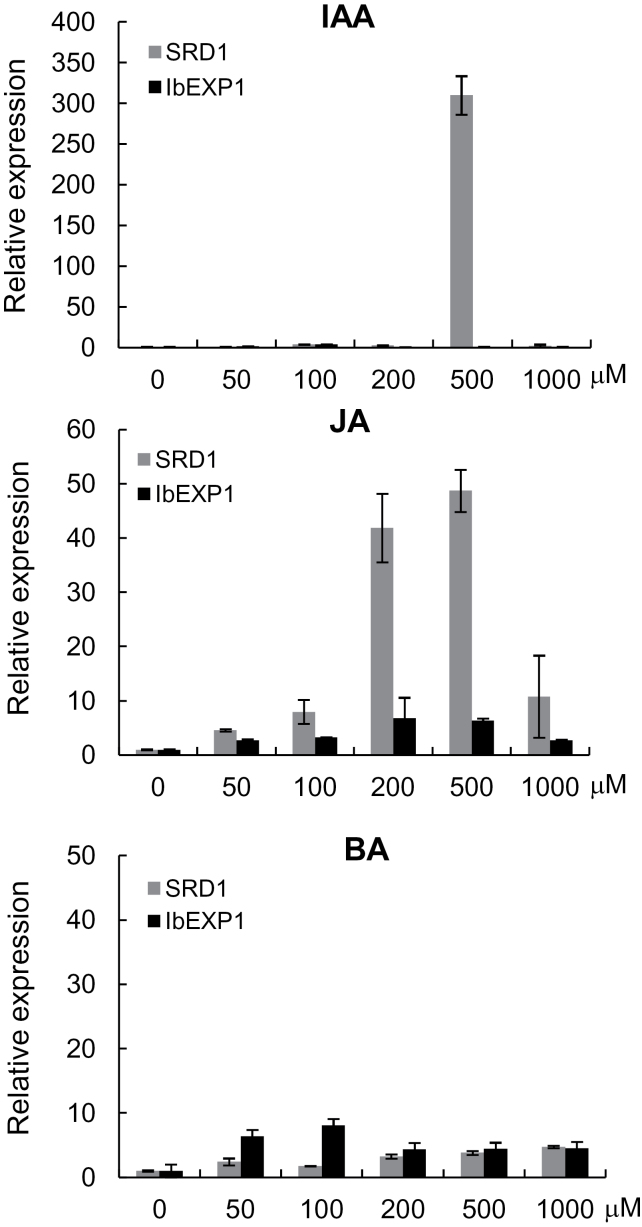 Fig. 2. 