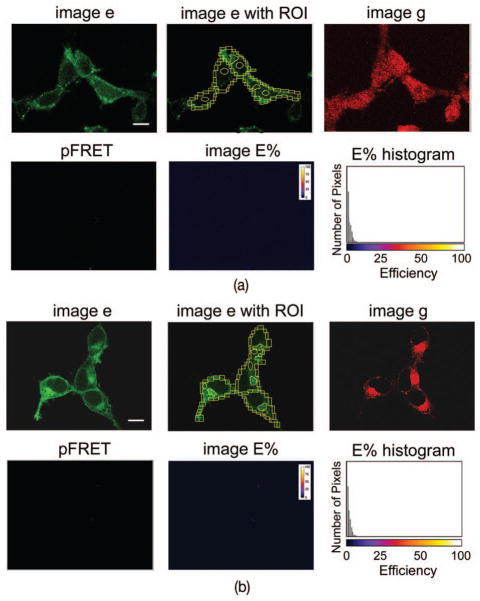 Fig. 9