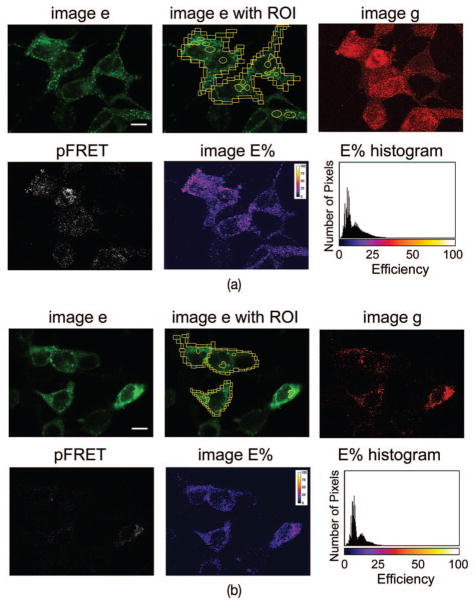 Fig. 6