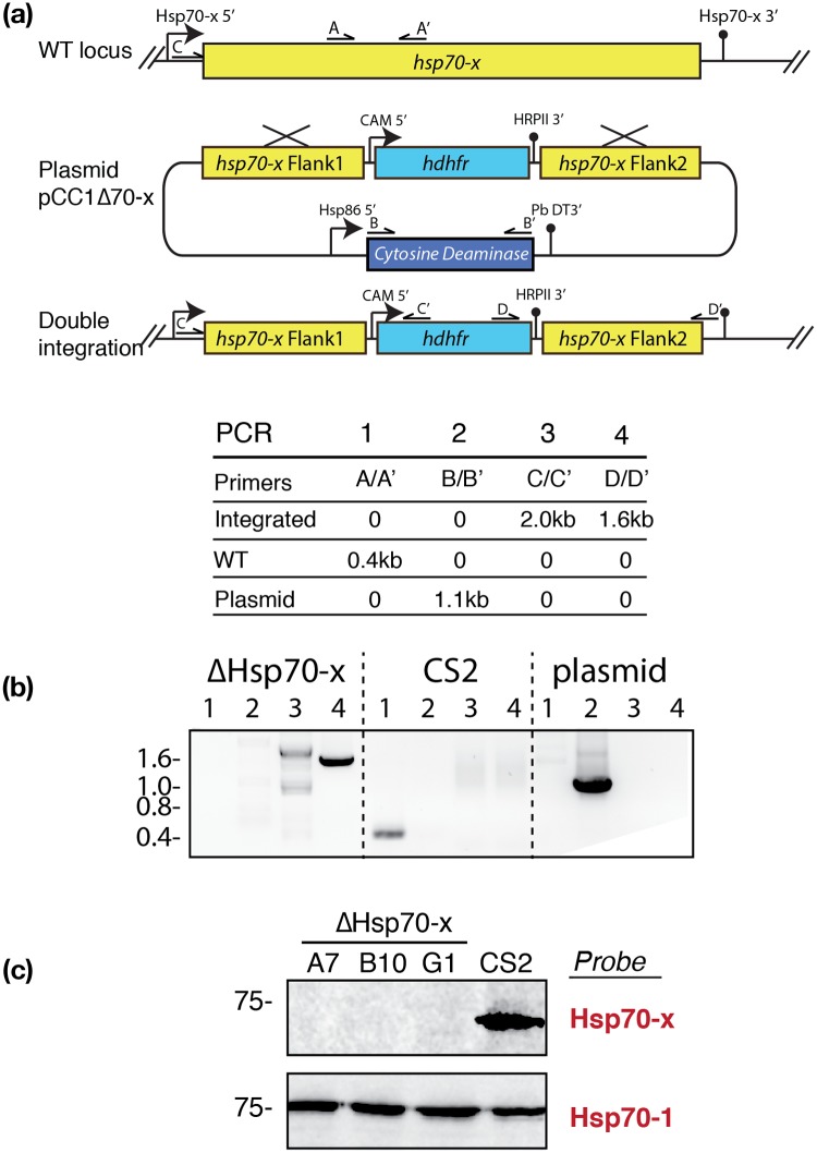 Fig 1