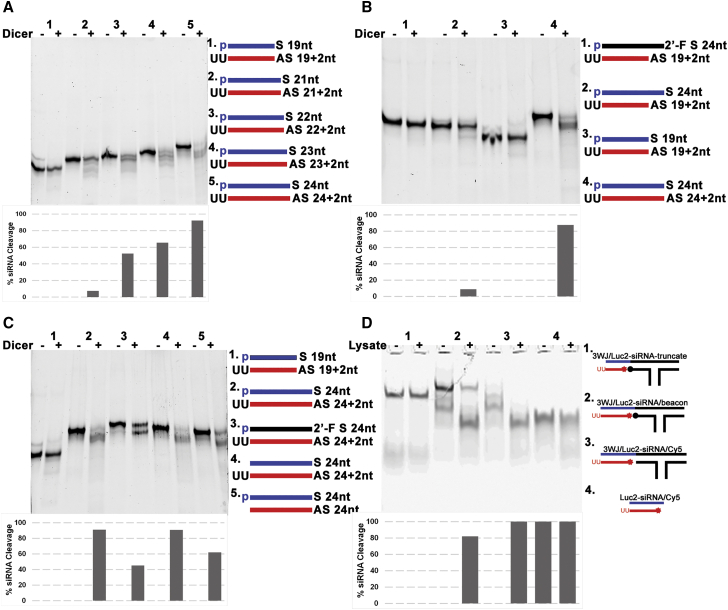 Figure 4