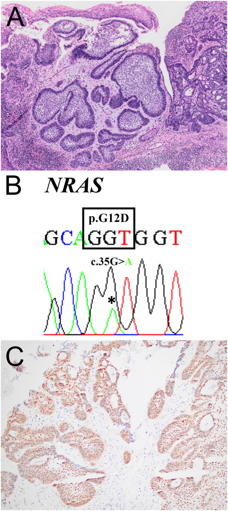 Figure 1