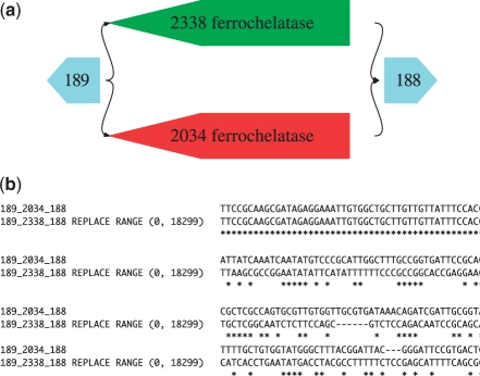 Fig. 2.