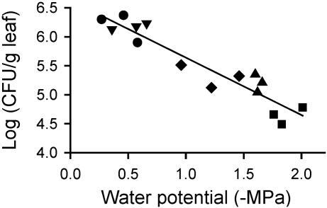 Fig. 5.