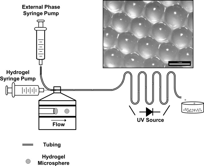 Figure 9.