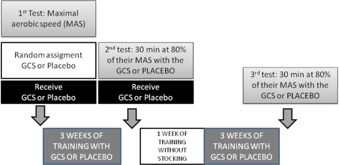 FIG. 1