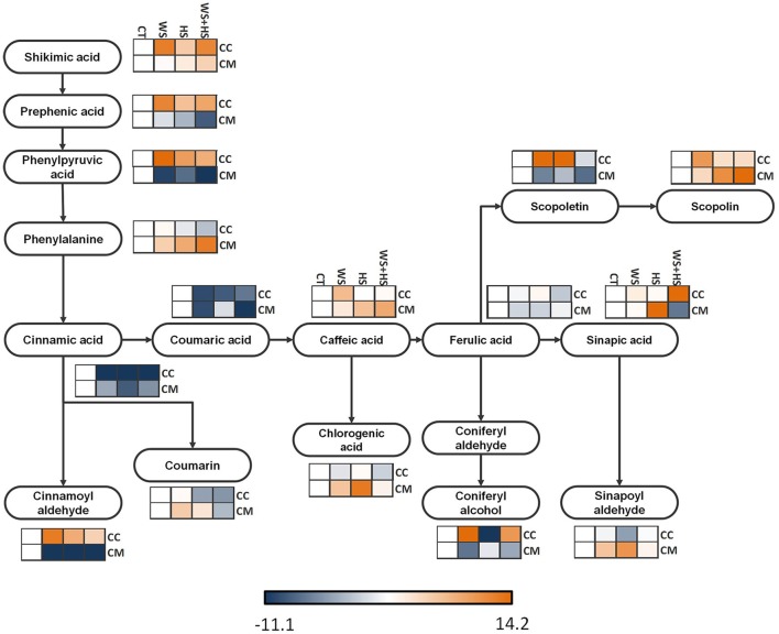 Figure 5