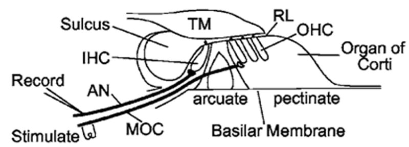 FIG. 1