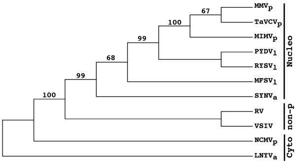 Fig. 5