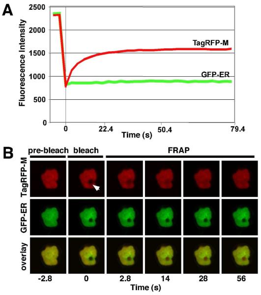 Fig. 9