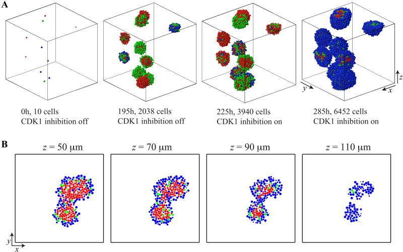 Figure 12