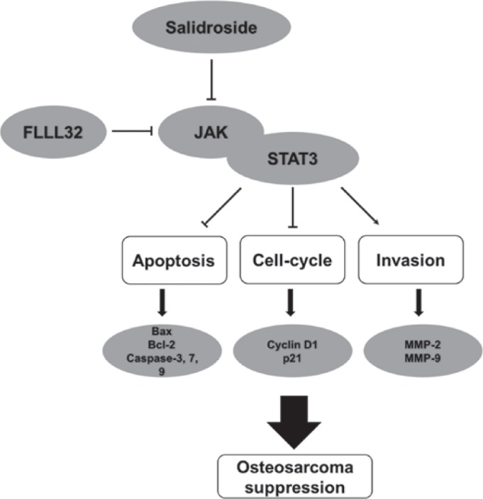 Figure 7