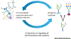 Figure 1 (Key figure) -