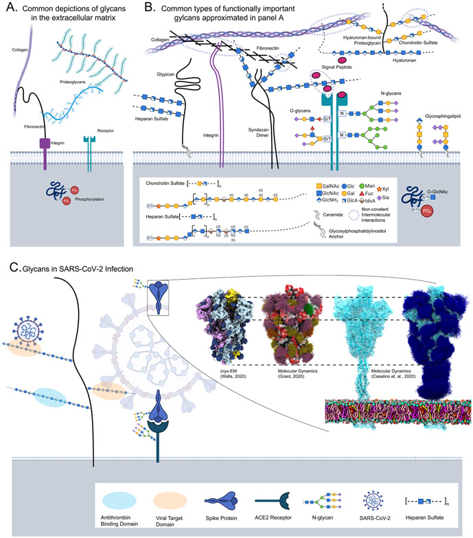 Figure 2 -