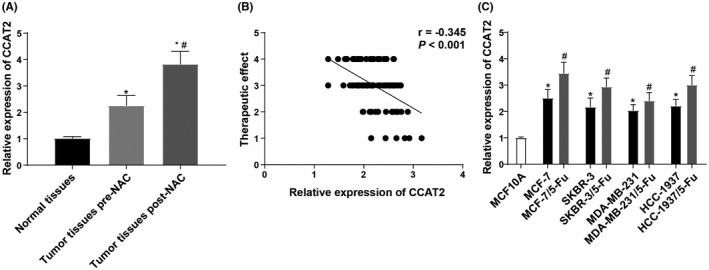 FIGURE. 1