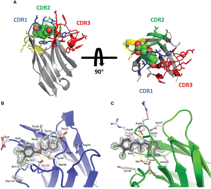 Figure 3