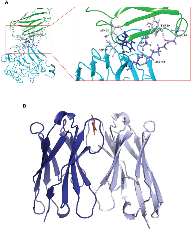 Figure 5