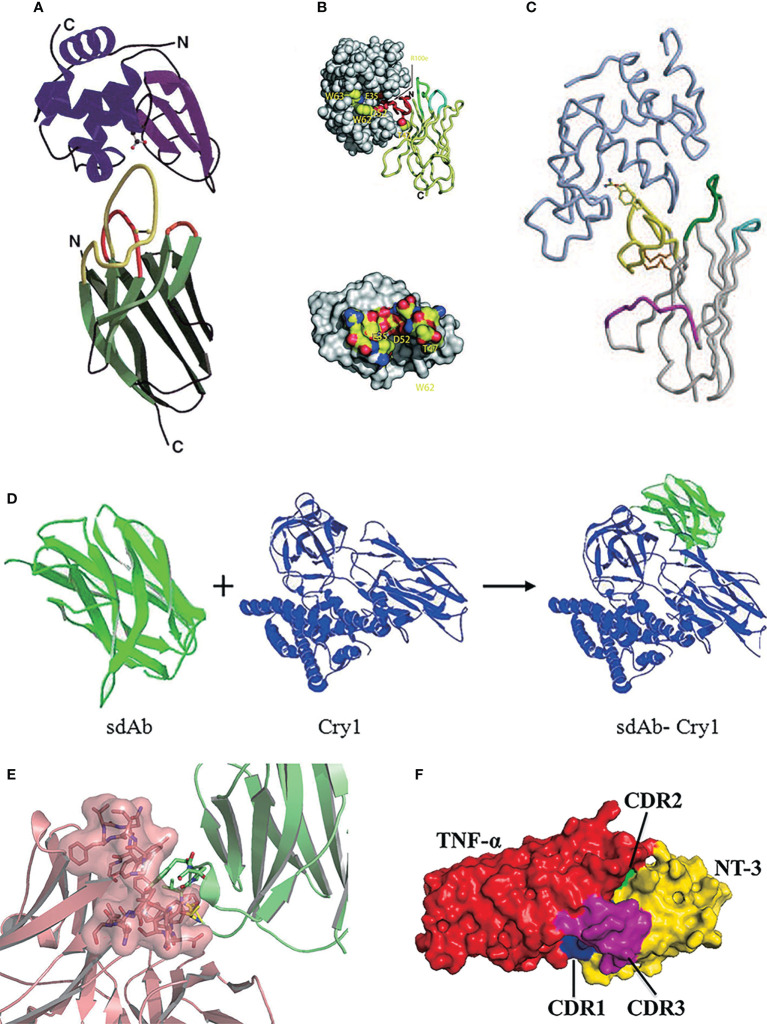 Figure 2