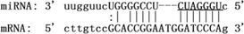 graphic file with name 12985_2020_1283_Fige_HTML.gif