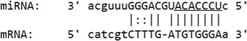 graphic file with name 12985_2020_1283_Figg_HTML.gif