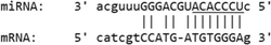 graphic file with name 12985_2020_1283_Figi_HTML.gif