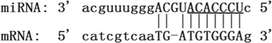 graphic file with name 12985_2020_1283_Figb_HTML.gif