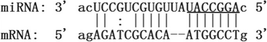 graphic file with name 12985_2020_1283_Figd_HTML.gif
