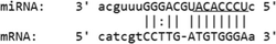 graphic file with name 12985_2020_1283_Figj_HTML.gif
