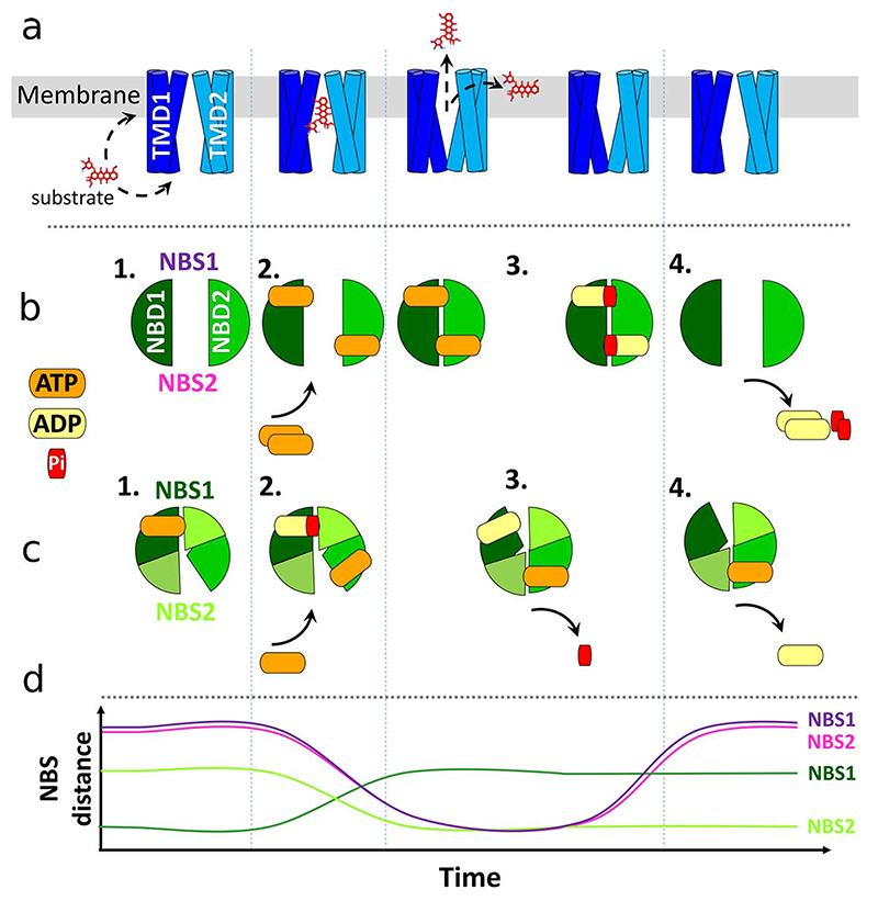 Fig. 2