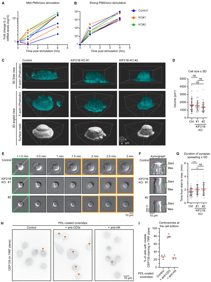 Figure 1—figure supplement 2.