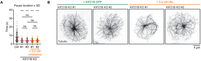 Figure 4—figure supplement 1.