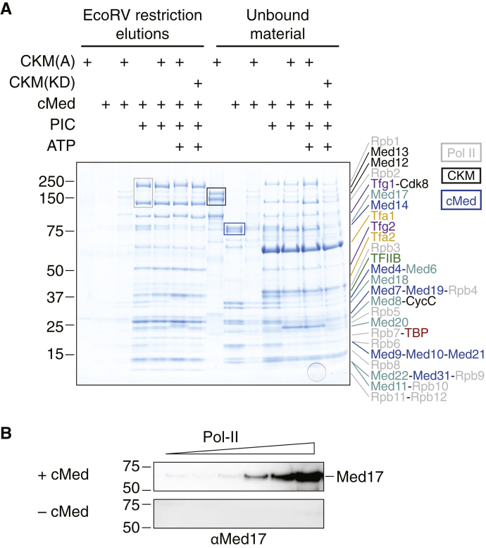 Figure 2