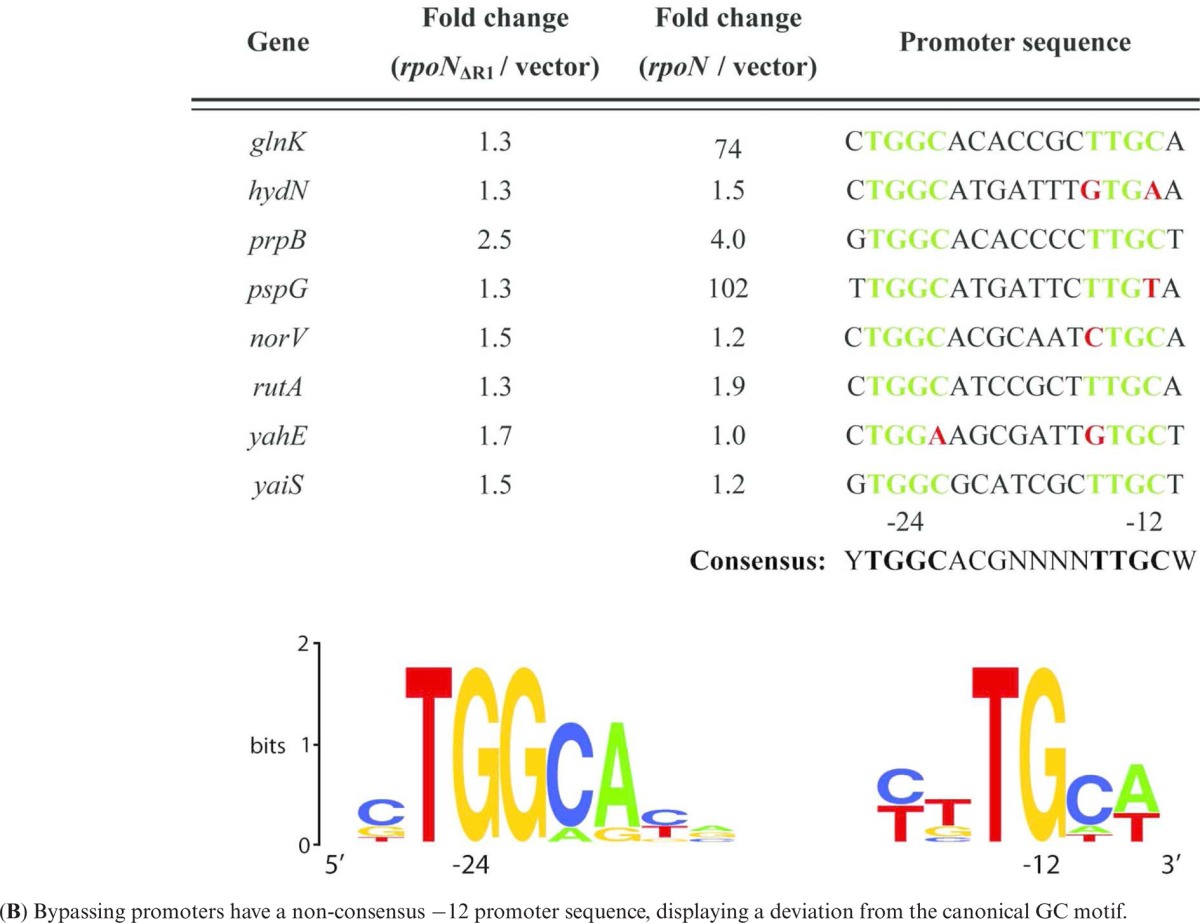 graphic file with name gkv597ufig1.jpg