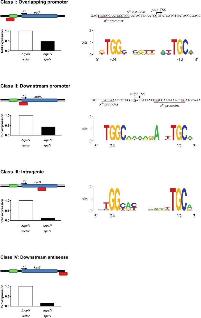 Figure 6.