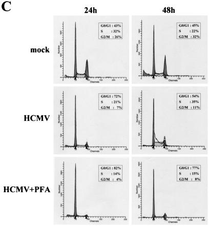 FIG. 7.