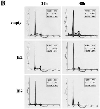 FIG. 7.