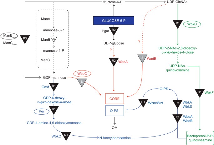 FIGURE 1.