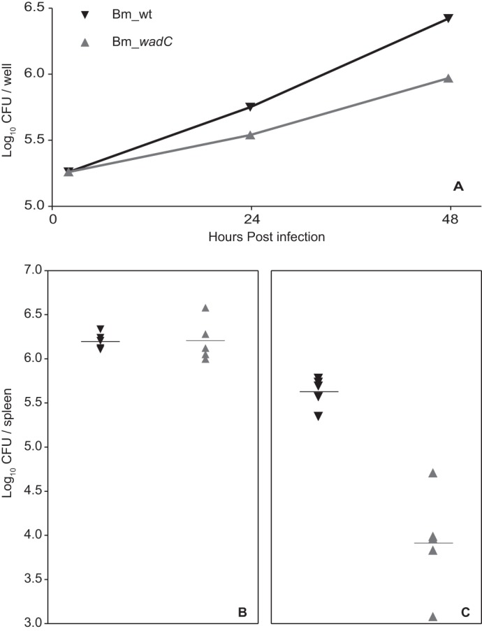 FIGURE 9.