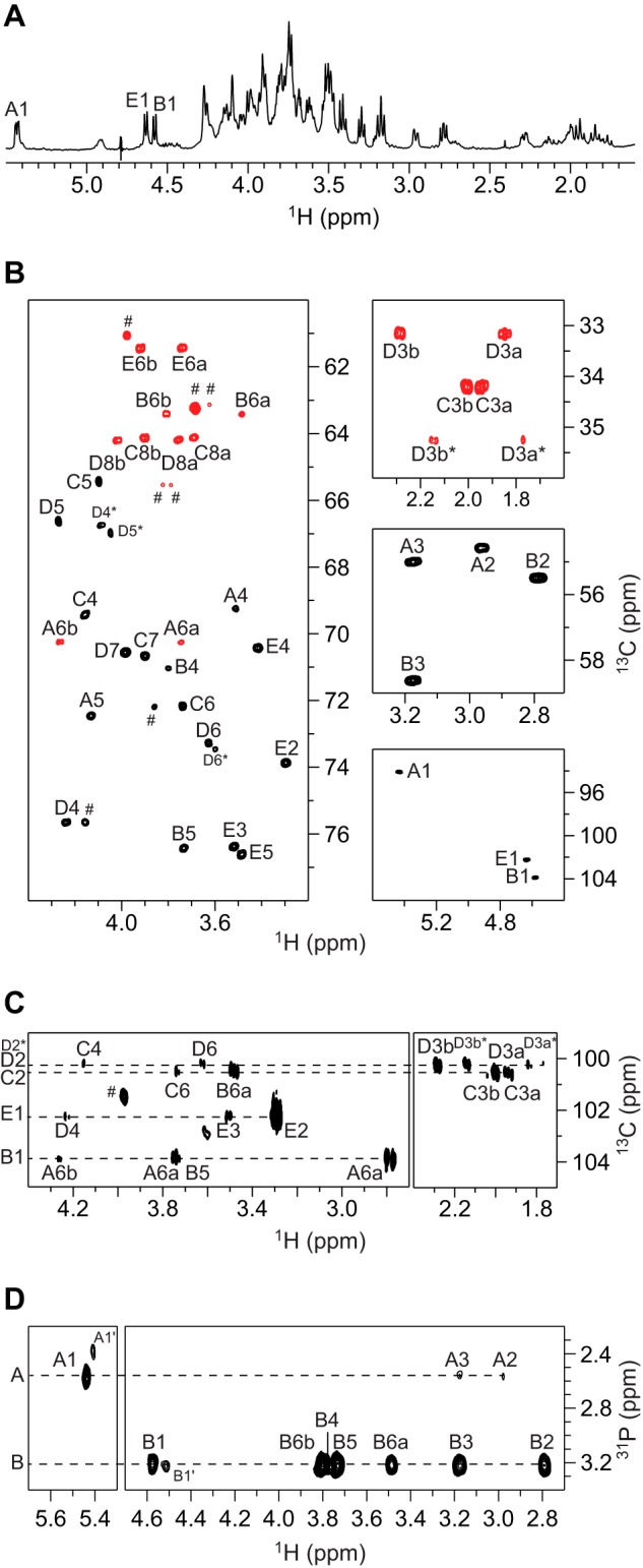 FIGURE 3.