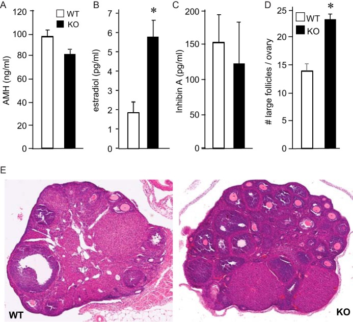 FIGURE 10.