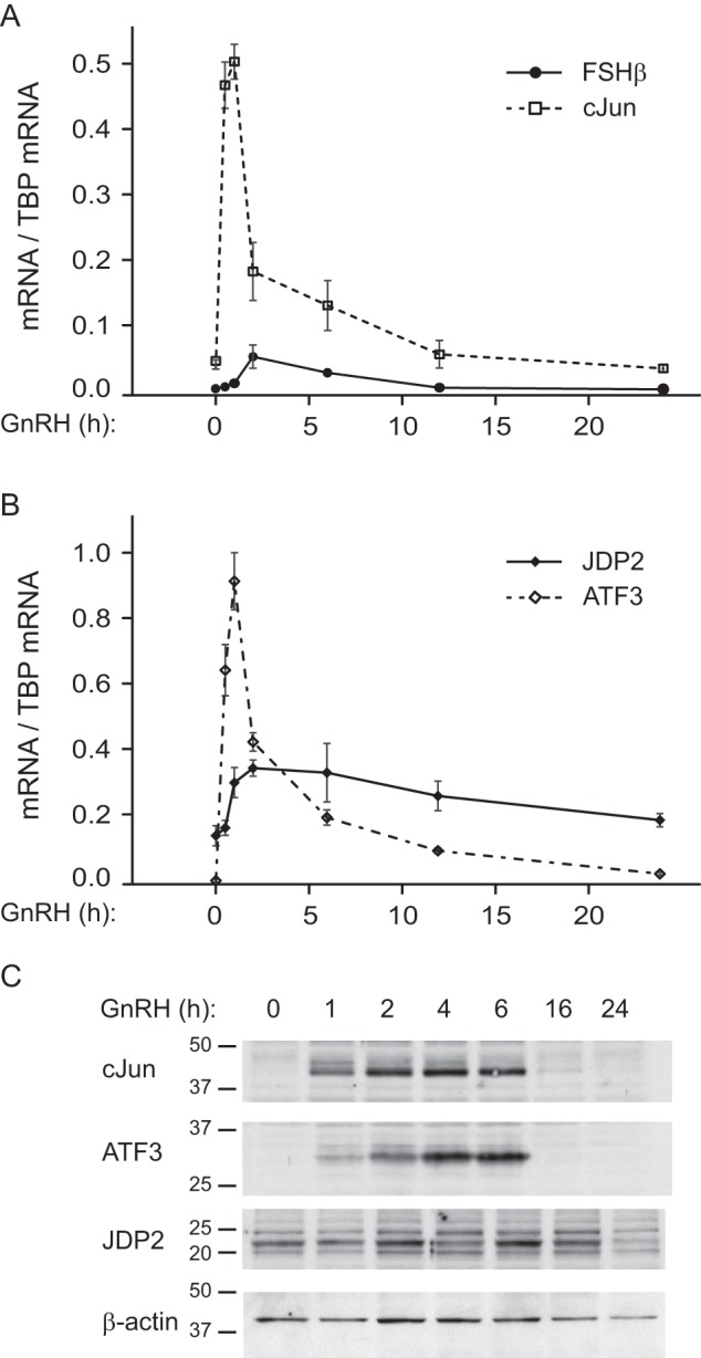 FIGURE 1.