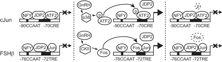 FIGURE 11.