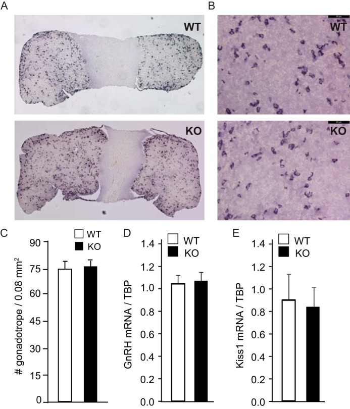 FIGURE 9.