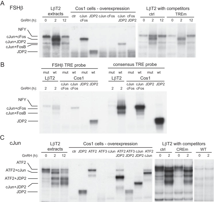 FIGURE 3.