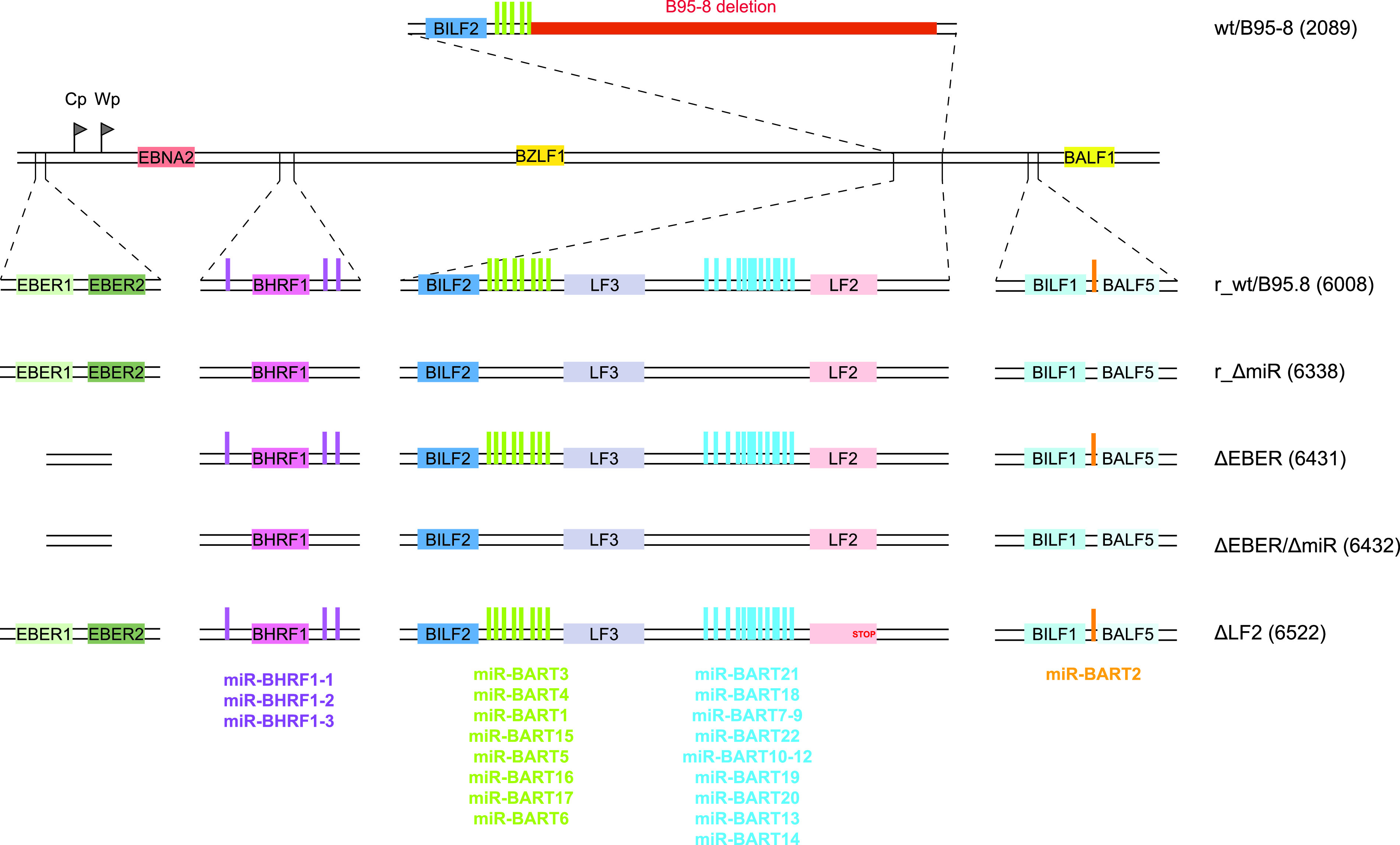 FIG 1