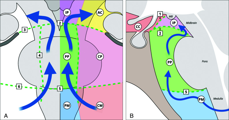 FIG 7.