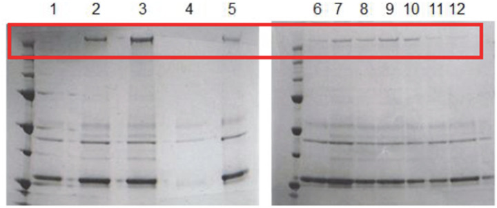 Extended Data Figure 1 |