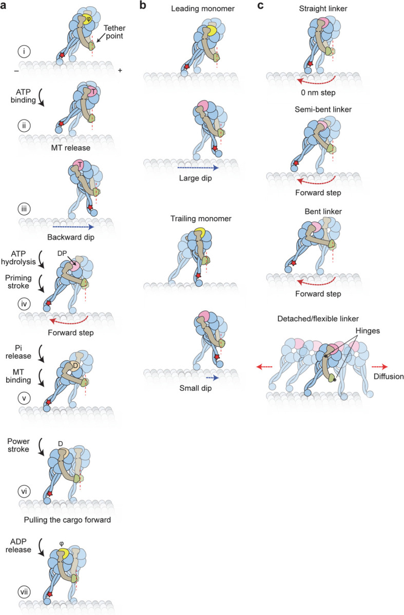 Extended Data Figure 9 |