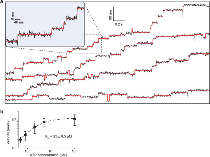 Extended Data Figure 6 |