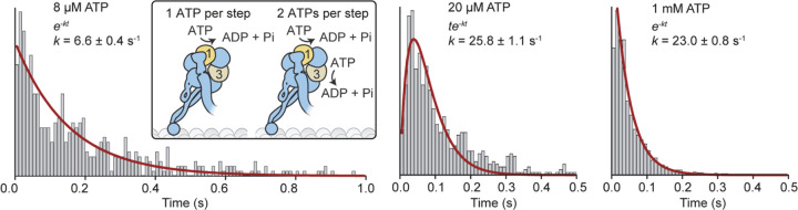 Figure 3 |